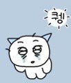 도화 tweet media