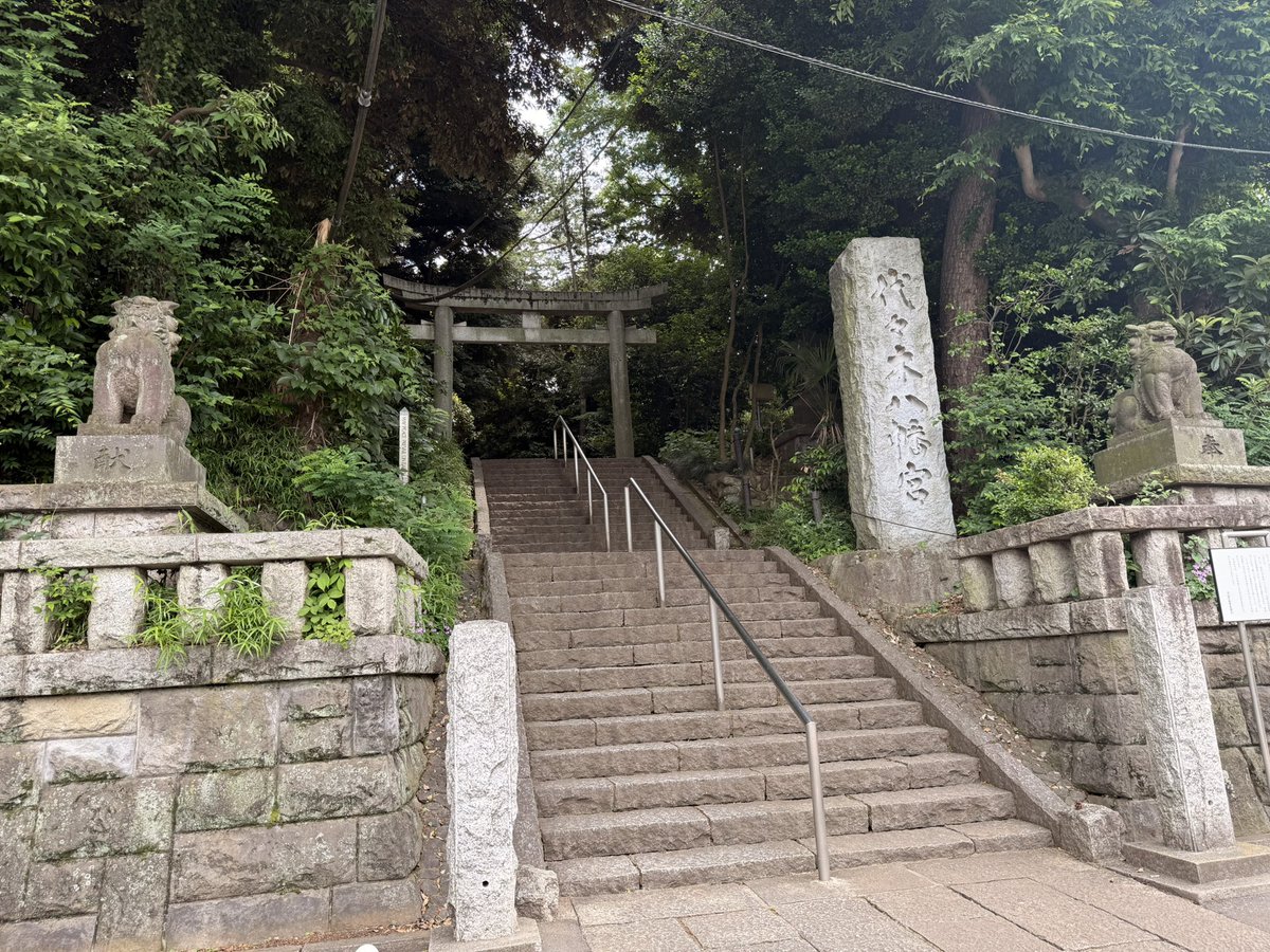 呼ばれた気がしたので
行ってきました🚶‍♀️