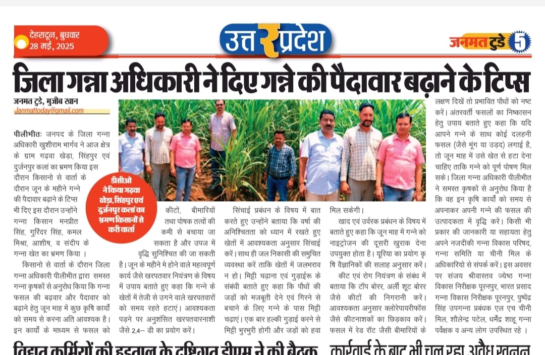 <a href="/UPCane/">Cane Development UP</a> <a href="/DyccRangeLko/">Dycc Lucknow</a> <a href="/dyccfaizabad/">DyCC Ayodhya</a> <a href="/CcDeoria/">DY CC DEORIA</a> <a href="/CcGorakhpur/">Dy CC Gorakhpur</a> <a href="/Scdi_Bisalpur/">SCDI BISALPUR</a> <a href="/ScdiPuranpur/">SCDI Puranpur Sanjay Srivastava</a> <a href="/scdipilibhit/">Scdipilibhit</a> <a href="/SCDIBarkheda/">SCDI BARKHERA</a> <a href="/PilibhitSachiv/">Sachiv Pilibhit</a> <a href="/sachiv_bisalpur/">Sachiv Bisalpur</a>