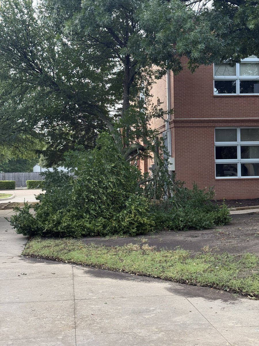 Sonya Elliott tweet media