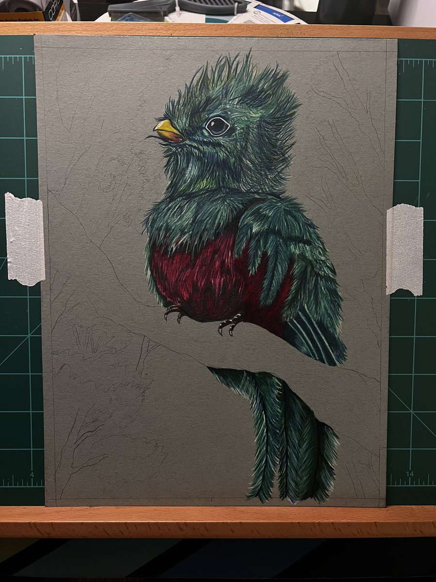 AmpersonP's tweet photo. Mostly done with the bird next un background #art https://t.co/7OgtmSQEtS