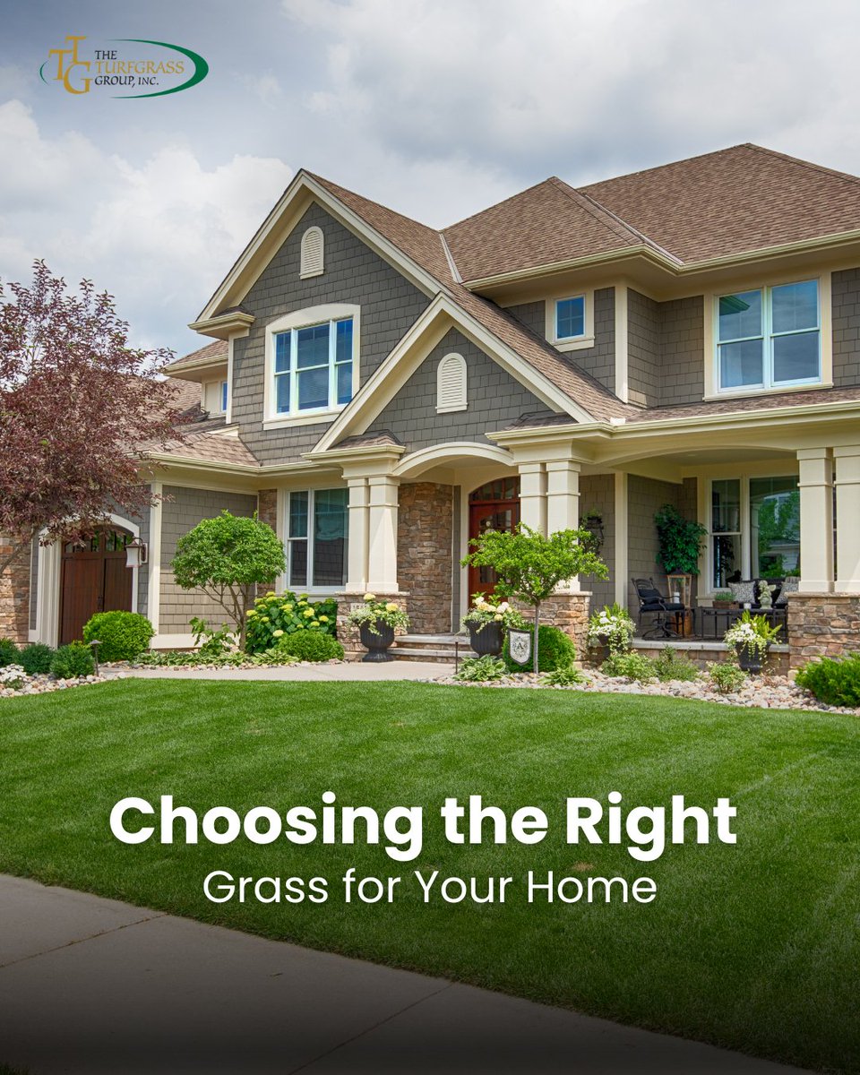 Ready to Transform Your Lawn? 🌿

Choosing the right turf grass is the secret to a vibrant, green garden that stands up to sun, shade, and foot traffic.🌱

🌱 Find a Certified Grower Near You with The Turfgrass Group and get started today!

theturfgrassgroup.com/find-a-grower/