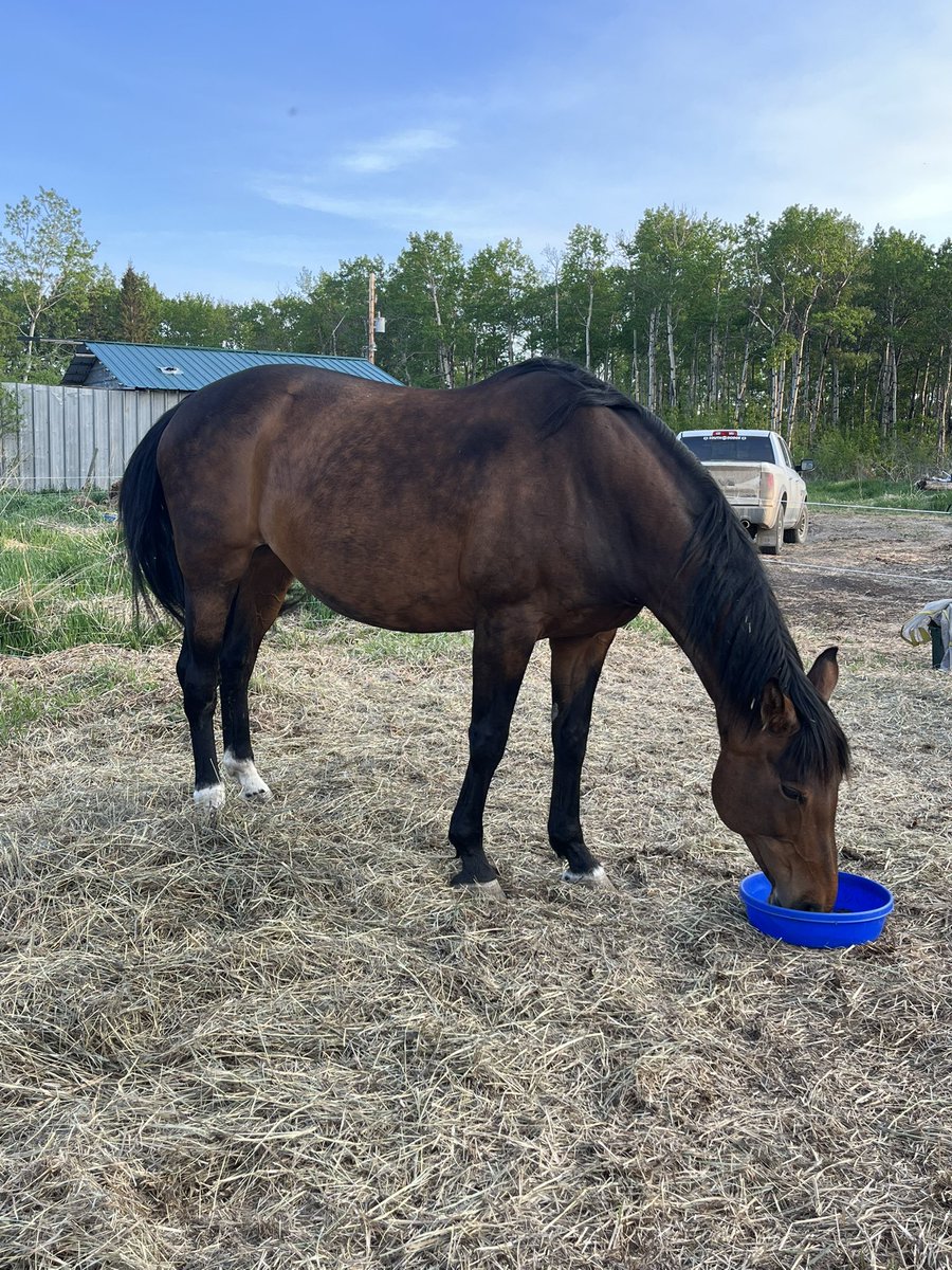 straight up not having a good time tweet media