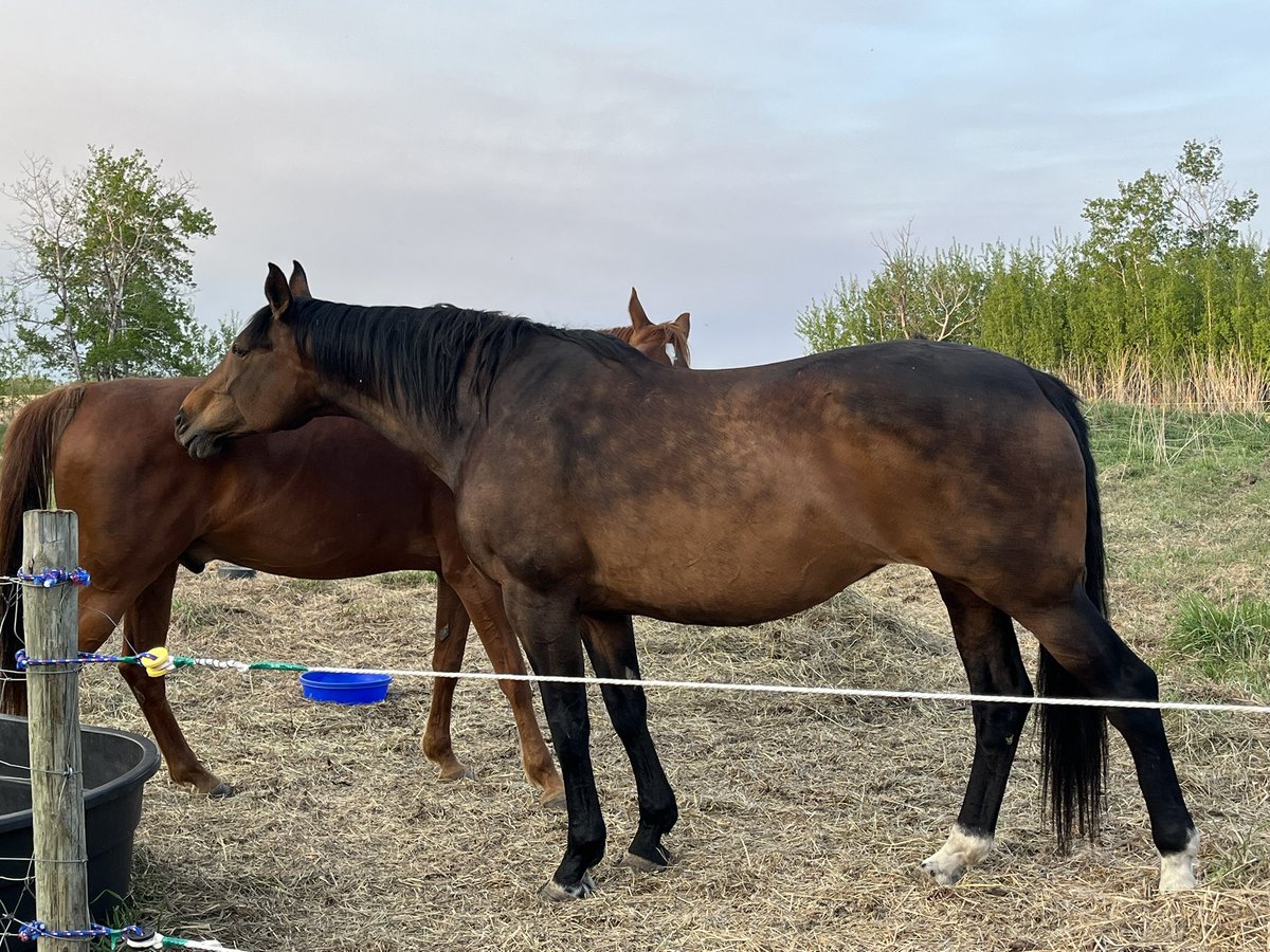 straight up not having a good time tweet media