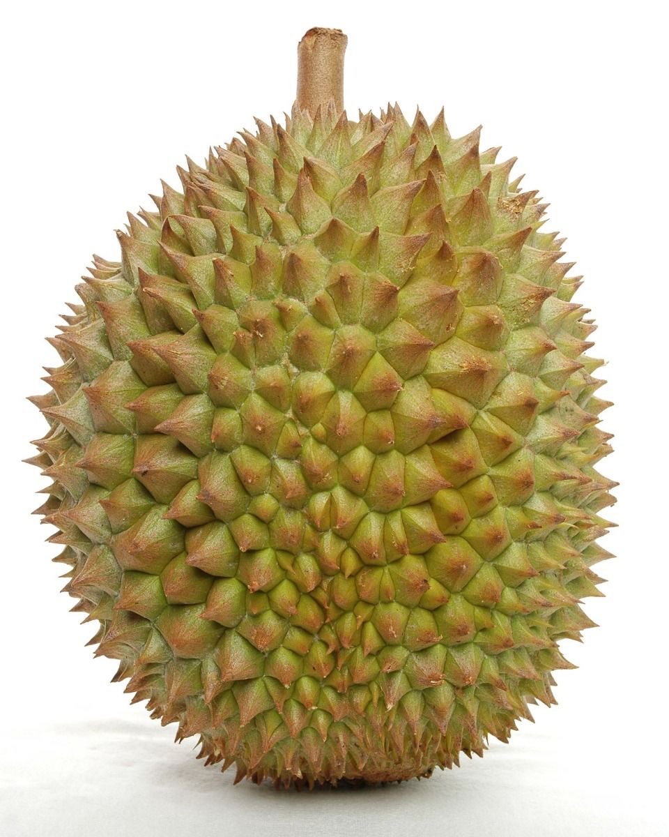 几个挑榴莲的小技巧

⭐看果型。尽量选果型均匀、个头圆润的，形状像荔枝的为佳，这样果肉会比较均衡，不易出现大小果。

⭐看果刺。榴莲刺最好是底部宽大、又高又长，且“刺间距”大。这样的榴莲，果肉成熟、饱满，所以能把皮上的刺撑开。反之，果刺尖细、距离太密的榴莲就不太好。