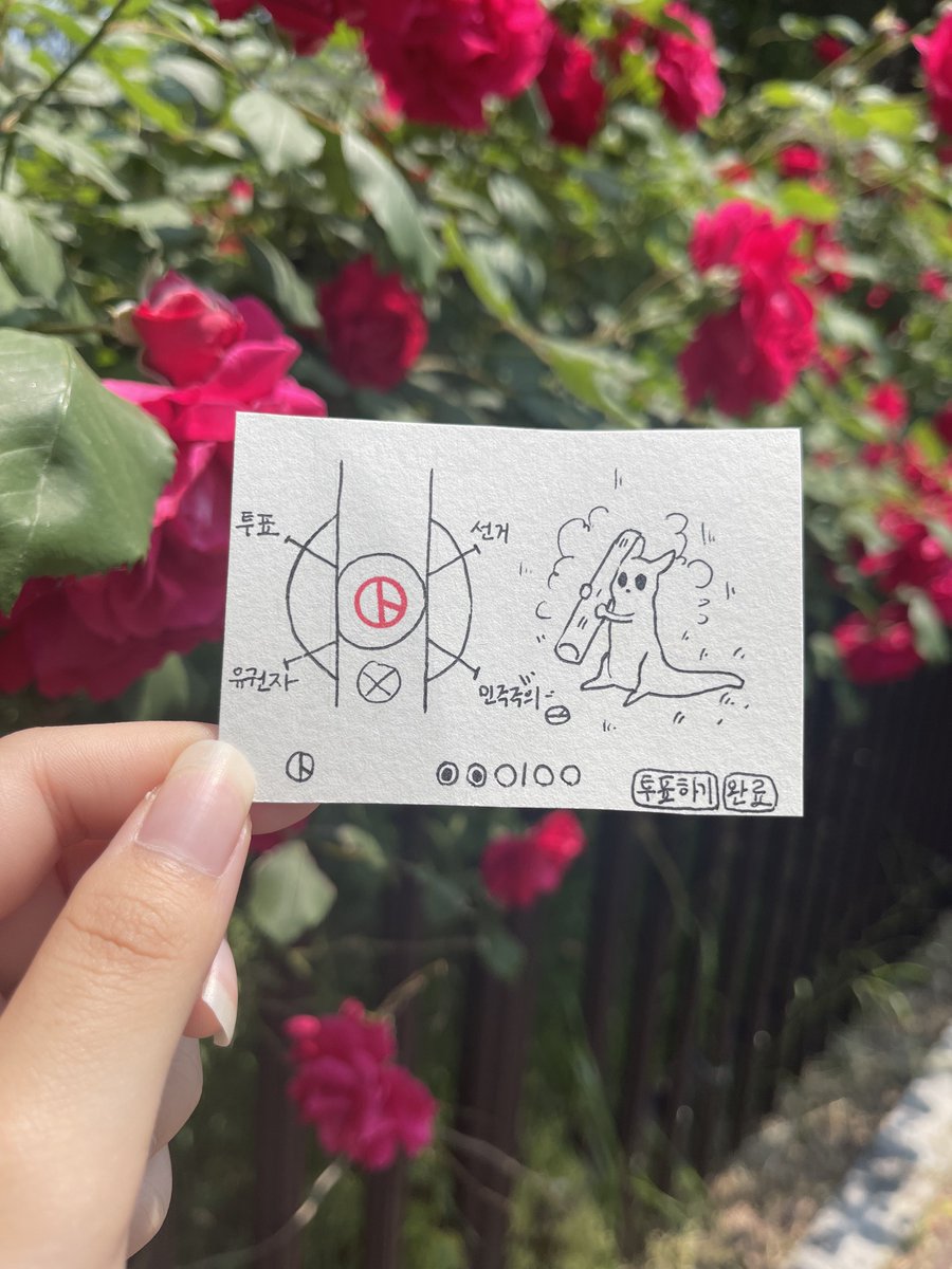 투표완~