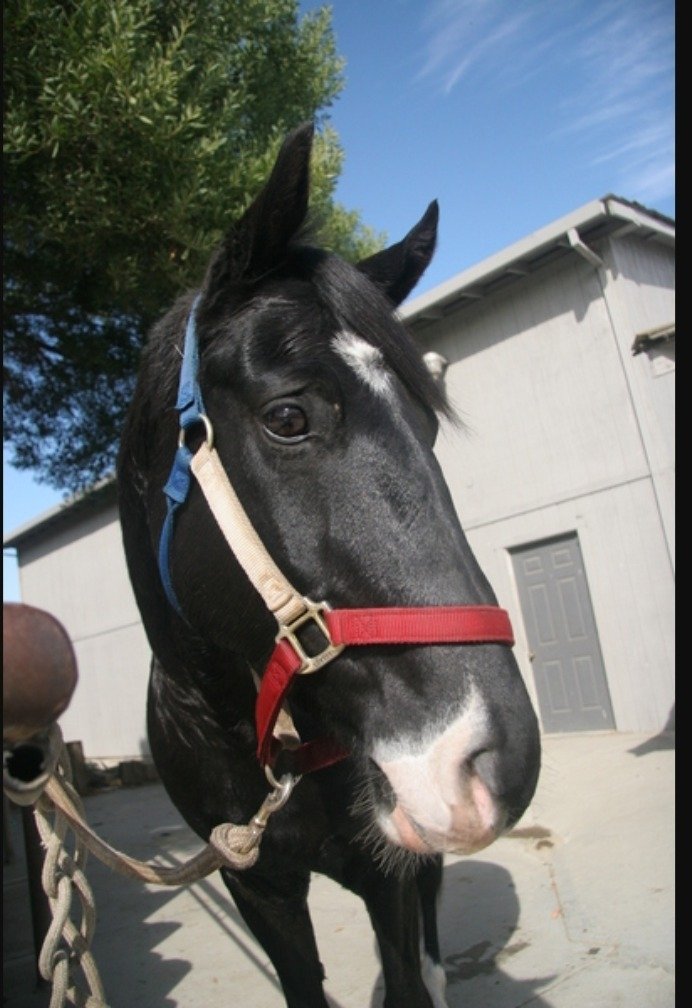 Emma Lou tweet media