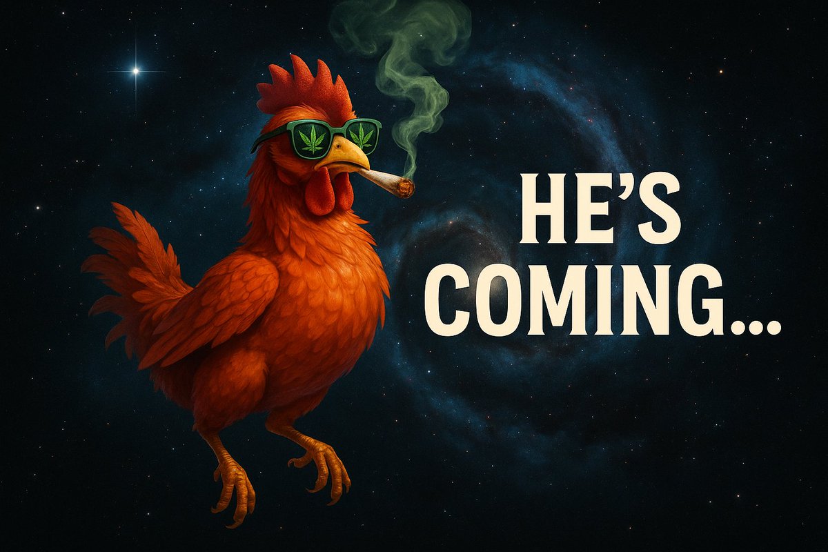 NGGTcoin's tweet photo. 🍗 A bird is coming.
🚬 He’s fried and prepared for launch
🛸 Join the flock before the drop: [https://t.co/6ILFtA7iup]
#FriedChickenCoin #Solana #StayFried #memecoin https://t.co/LI4p01fTnz