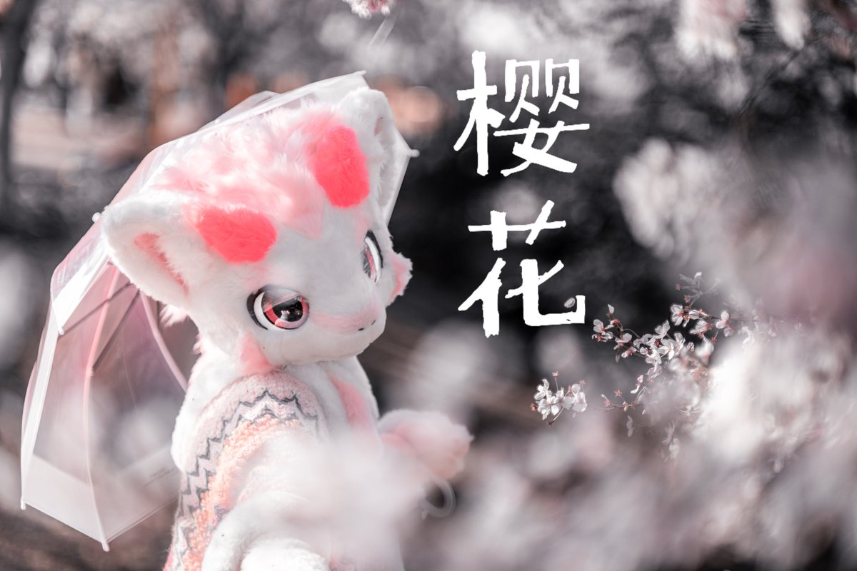 新视频已发布～来拍樱花啦！

Youtube：youtu.be/WOC66aoF1RA?si…

Bilibili：b23.tv/7DzFGjQ