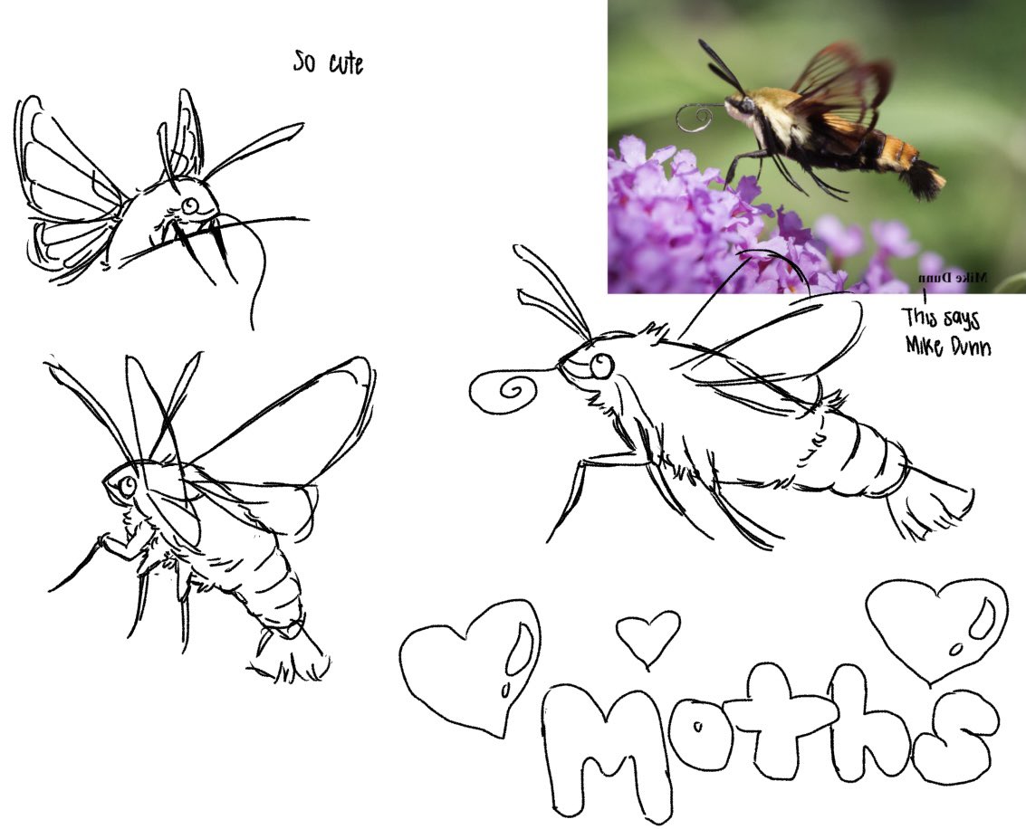 fitasafiddlepie's tweet image. NO MORE
#hummingbirdmoth