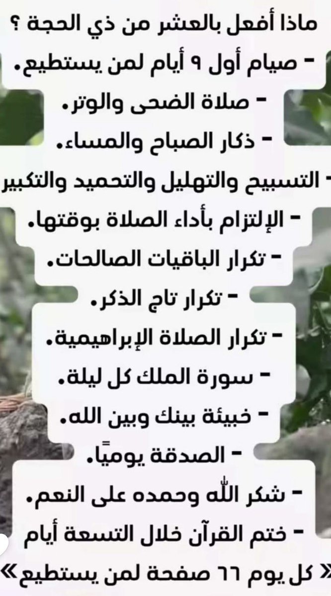اداره ياهلا tweet media