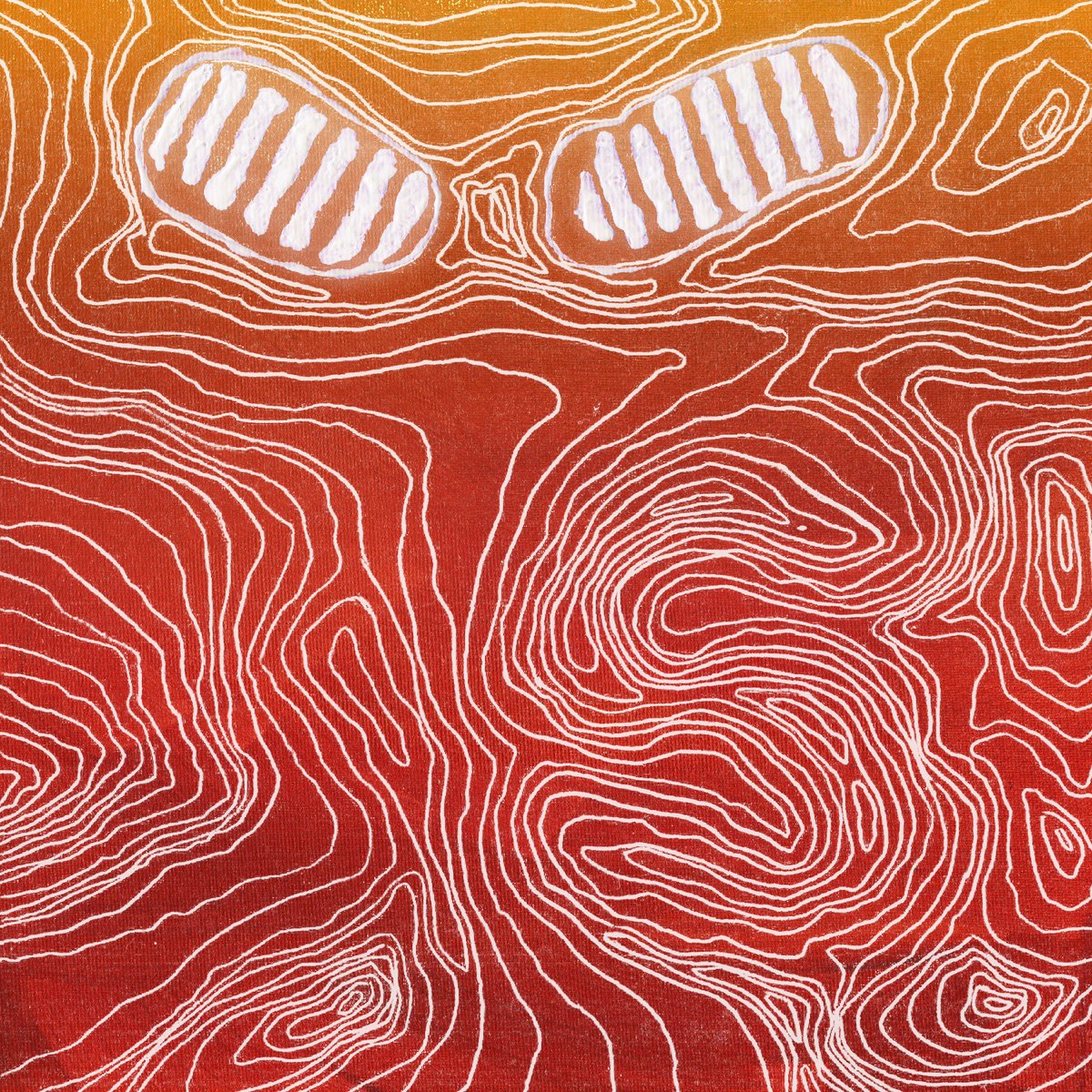 [senseS] EP out now, all platforms.