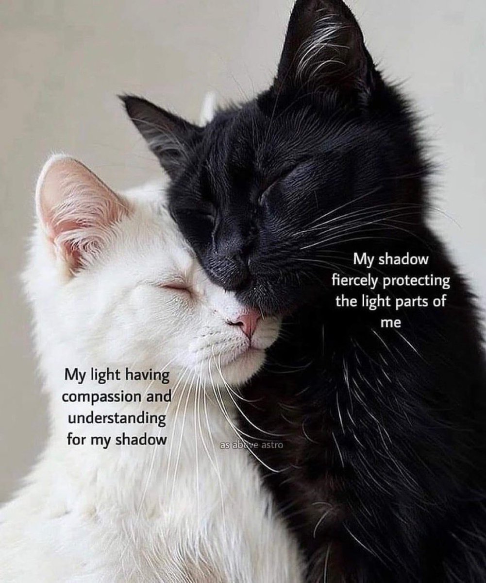 Adrian Dittmann (@adriandittmann) on Twitter photo 