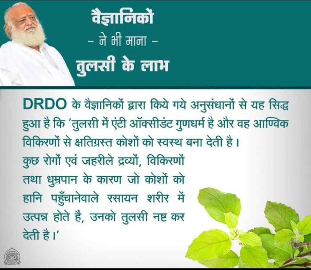 PendalwarK's tweet photo. Sant Shri Asharamji Bapu 
Healthy Living
Herbal Remedies
#AyurvedaWisdom
According to Bapuji Ayurveda has a pivotal role in medical science Tulsi is such a wonder drug which is curable on all diseases https://t.co/H6uQv7ZL6L