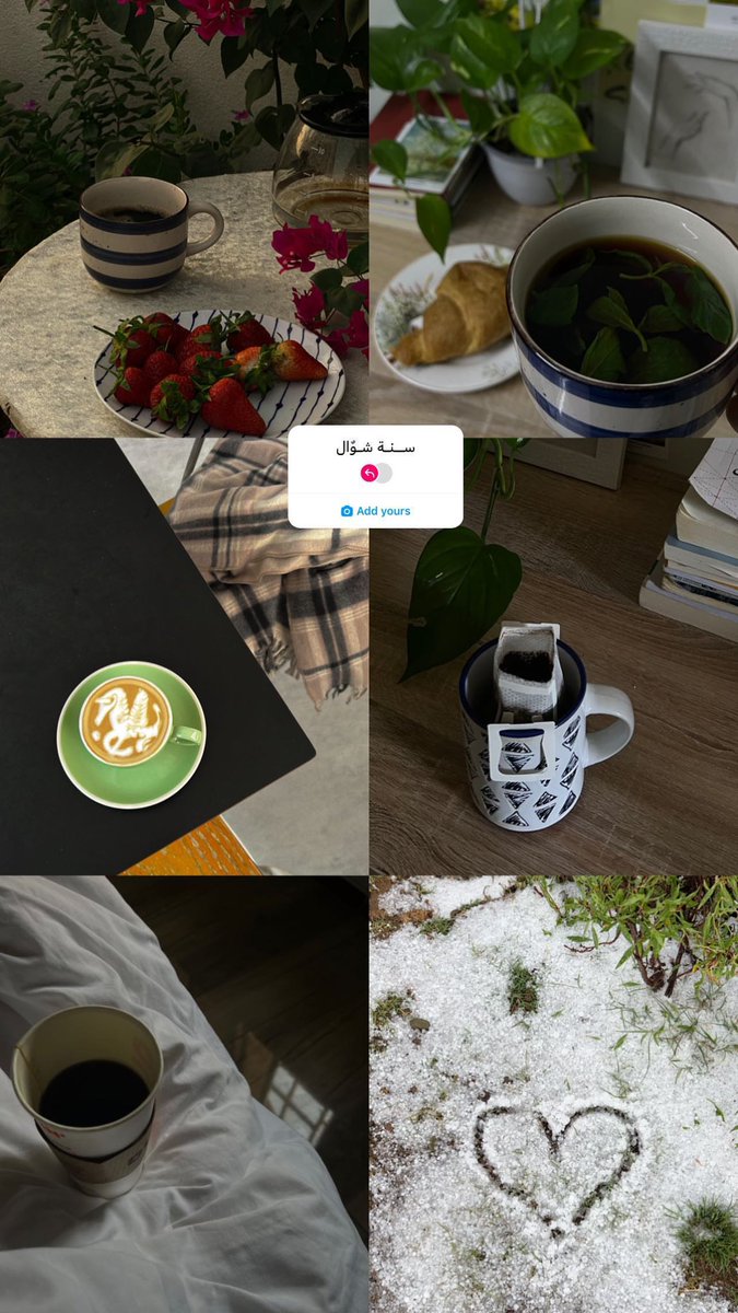 uo36_'s tweet photo. مديرة العشوائيات سابقاً>> https://t.co/ZaerUEEUev