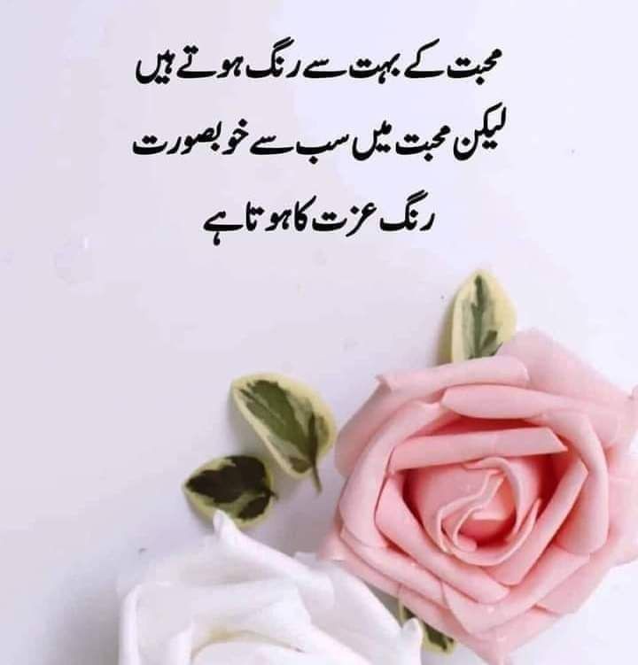گُل جنت🌷 (@guljnt) on Twitter photo #ملک_پرموشن
Special🍃
<a href="/01Mllik/">𝙈𝘼𝙇𝙄𝙆 𝙅𝙄💫💙</a> <a href="/11iasd/">Ali Asad</a>
<a href="/1Arshii/">𝓐𝓻𝓼𝓱𝓲 𝓜𝓵𝓲𝓴 ☪ツ</a> <a href="/1arshd/">𝗔𝗿𝘀𝗵𝗱 𝗠𝗹𝗶𝗸💫👑</a>
<a href="/01rshd/">ارشد ملک💫👑</a> <a href="/sehr_ik/">سحر ملک 🦋🦋</a>
@0sehr <a href="/glmsjd/">𝑺𝒂𝒋𝒋𝒂𝒅 ✨</a>
<a href="/guljnt/">گُل جنت🌷</a> <a href="/111mn1/">🐬آمنہ ملک🦋</a>
🌷
<a href="/11smnn/">Saman Malik💫</a>
<a href="/bndy66/">Asil khawaja 55</a>
<a href="/md_804/">🇧🇫 PTI_IK 🇧🇫</a>
@FF190m
<a href="/Hfsa780/">Hafsa</a>
<a href="/HD_7691/">Hameed Ullah</a>
<a href="/NighatYZ/">Nighat Yousafzay</a>
<a href="/Haris_943/">Haris PTI ᵀᶠᴸᵂ</a>
@aapkashobi
🌷
@Sehar___
<a href="/Znt31/">🦋Zeenat🦋</a> <a href="/bndy5_/">Khawaja Asil</a>
<a href="/Fat9T/">Arshia🥀🍂</a> <a href="/Pir_80/">Peer Shb</a>
<a href="/Ghz35/">🇬 🇭 🇦 🇿 🇦 🇱 🇦 🇭</a> @Ghz39
<a href="/10bshr/">Bashir Ahmed</a> <a href="/NK_pti/">𝒜𝓏𝒶𝒹 🇵🇰</a>
<a href="/zhr879/">Emaan Zahra</a> <a href="/itxsk14/">Syeda Sakina 🕊️</a> #ملک_پرموشن
Special🍃
<a href="/01Mllik/">𝙈𝘼𝙇𝙄𝙆 𝙅𝙄💫💙</a> <a href="/11iasd/">Ali Asad</a>
<a href="/1Arshii/">𝓐𝓻𝓼𝓱𝓲 𝓜𝓵𝓲𝓴 ☪ツ</a> <a href="/1arshd/">𝗔𝗿𝘀𝗵𝗱 𝗠𝗹𝗶𝗸💫👑</a>
<a href="/01rshd/">ارشد ملک💫👑</a> <a href="/sehr_ik/">سحر ملک 🦋🦋</a>
@0sehr <a href="/glmsjd/">𝑺𝒂𝒋𝒋𝒂𝒅 ✨</a>
<a href="/guljnt/">گُل جنت🌷</a> <a href="/111mn1/">🐬آمنہ ملک🦋</a>
🌷
<a href="/11smnn/">Saman Malik💫</a>
<a href="/bndy66/">Asil khawaja 55</a>
<a href="/md_804/">🇧🇫 PTI_IK 🇧🇫</a>
@FF190m
<a href="/Hfsa780/">Hafsa</a>
<a href="/HD_7691/">Hameed Ullah</a>
<a href="/NighatYZ/">Nighat Yousafzay</a>
<a href="/Haris_943/">Haris PTI ᵀᶠᴸᵂ</a>
@aapkashobi
🌷
@Sehar___
<a href="/Znt31/">🦋Zeenat🦋</a> <a href="/bndy5_/">Khawaja Asil</a>
<a href="/Fat9T/">Arshia🥀🍂</a> <a href="/Pir_80/">Peer Shb</a>
<a href="/Ghz35/">🇬 🇭 🇦 🇿 🇦 🇱 🇦 🇭</a> @Ghz39
<a href="/10bshr/">Bashir Ahmed</a> <a href="/NK_pti/">𝒜𝓏𝒶𝒹 🇵🇰</a>
<a href="/zhr879/">Emaan Zahra</a> <a href="/itxsk14/">Syeda Sakina 🕊️</a>