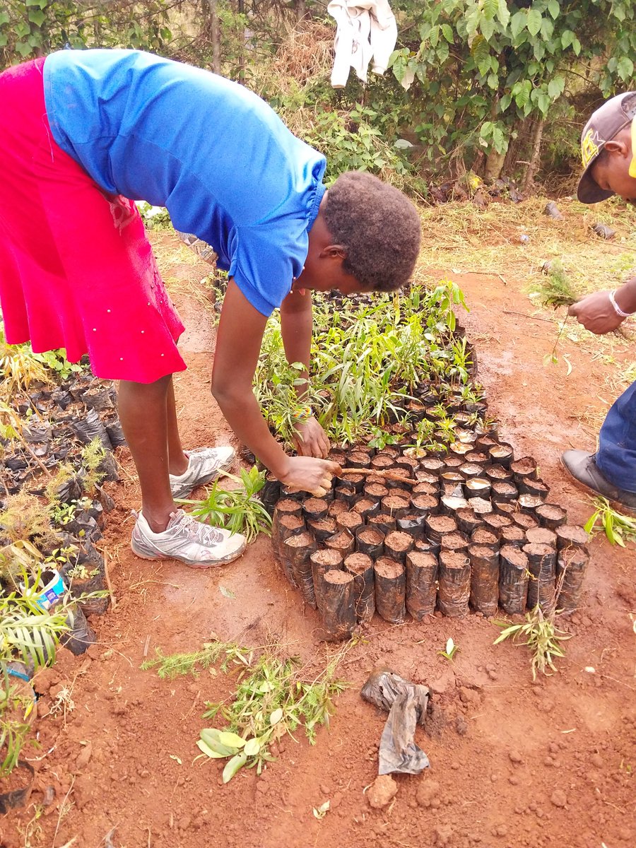 If you're looking for a project that is actively making a difference in the world you are looking for <a href="/OpenForest_/">Open Forest Protocol (OFP)</a> 🌱🌳

- 280+ projects
- 20+ countries
- Over 5,000 hectares currently on-chain 
- 250,000 hectares in the pipeline
- Partnered with multiple governments