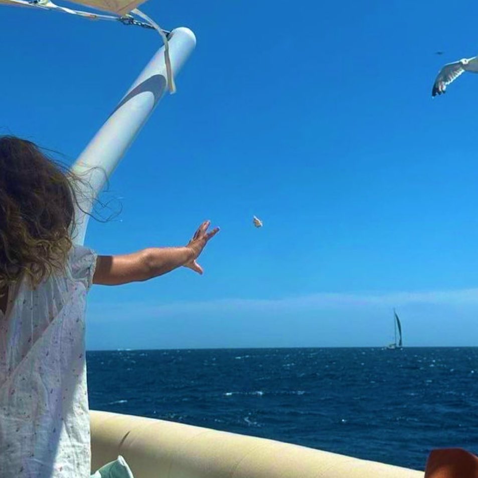 futurejiara's tweet image. _____ ______ ______ _____
← jj maybank 🏄🏼♂️
⁵ ᵐⁱⁿᵘᵗᵉˢ
three on deck, and one little captain stealing all the sunshine ☀️🛥️ 🌊