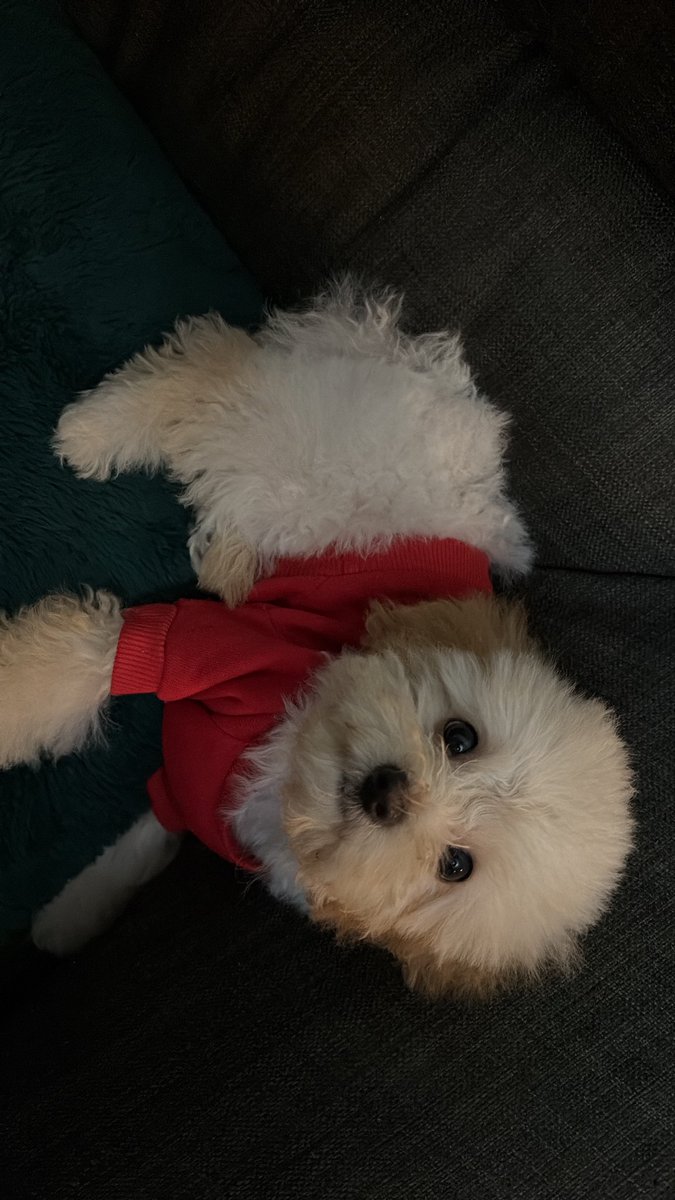 contrerassdl's tweet photo. Mi winnie pooh🍯 https://t.co/Ua0U9pObWW