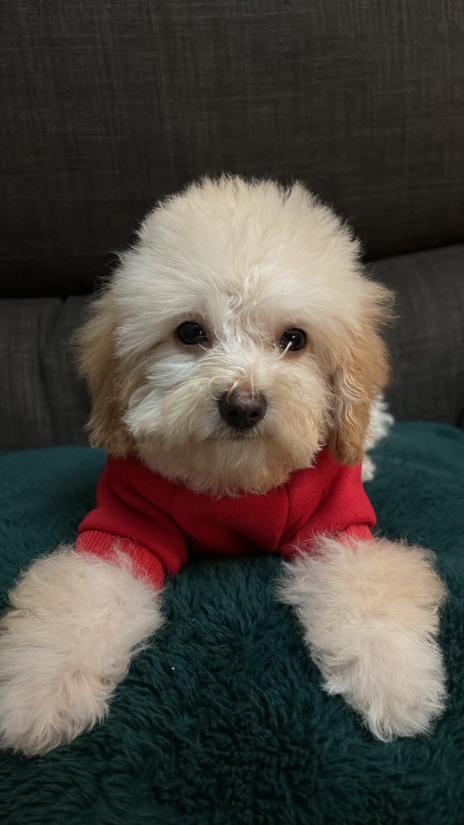 contrerassdl's tweet photo. Mi winnie pooh🍯 https://t.co/Ua0U9pObWW