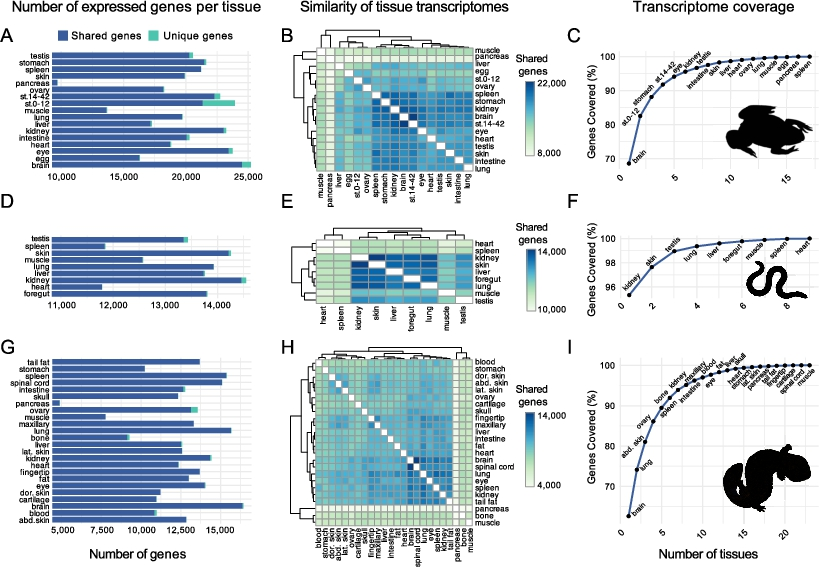 TAKosch's tweet image. Check out the AGC’s latest paper led by María Torres-Sánchez @TorresSanchezM and colleagues! It highlights key gaps, offers best-practice guidelines, and shows how transcriptomics can accelerate comparative research across amphibians
🔗 brill.com/view/journals/…
#transcriptomics