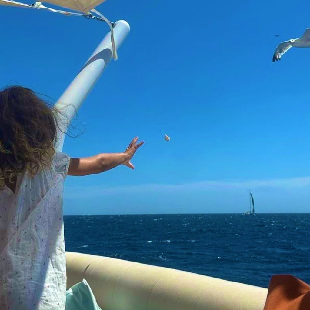 futurejiara's tweet image. ______ ______ ______ ______
← kie carrera 🌺
⁵ ᵐⁱⁿᵘᵗᵉˢ ᵃᵍᵒ
jj’s been fighting seagulls since we were teenagers now our daughter’s trying to befriend them i give it two more crumbs before a bird steals his sandwich again 😭