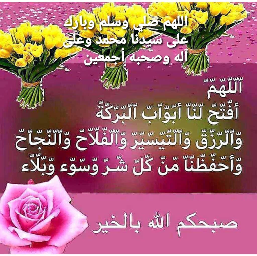 محمد منصور (@mmansourf16) on Twitter photo 