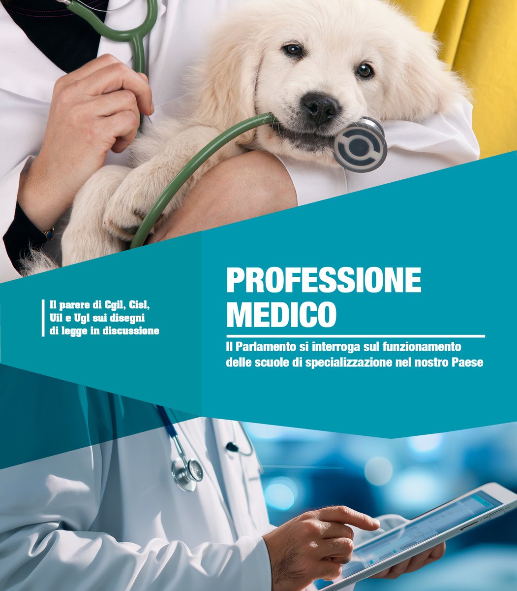 📌LA META SABATO 21
✔ PROFESSIONE MEDICO
📲💻Scarica/Leggi GRATIS il quotidiano in Pdf...👇
ugl.it/metaserale/