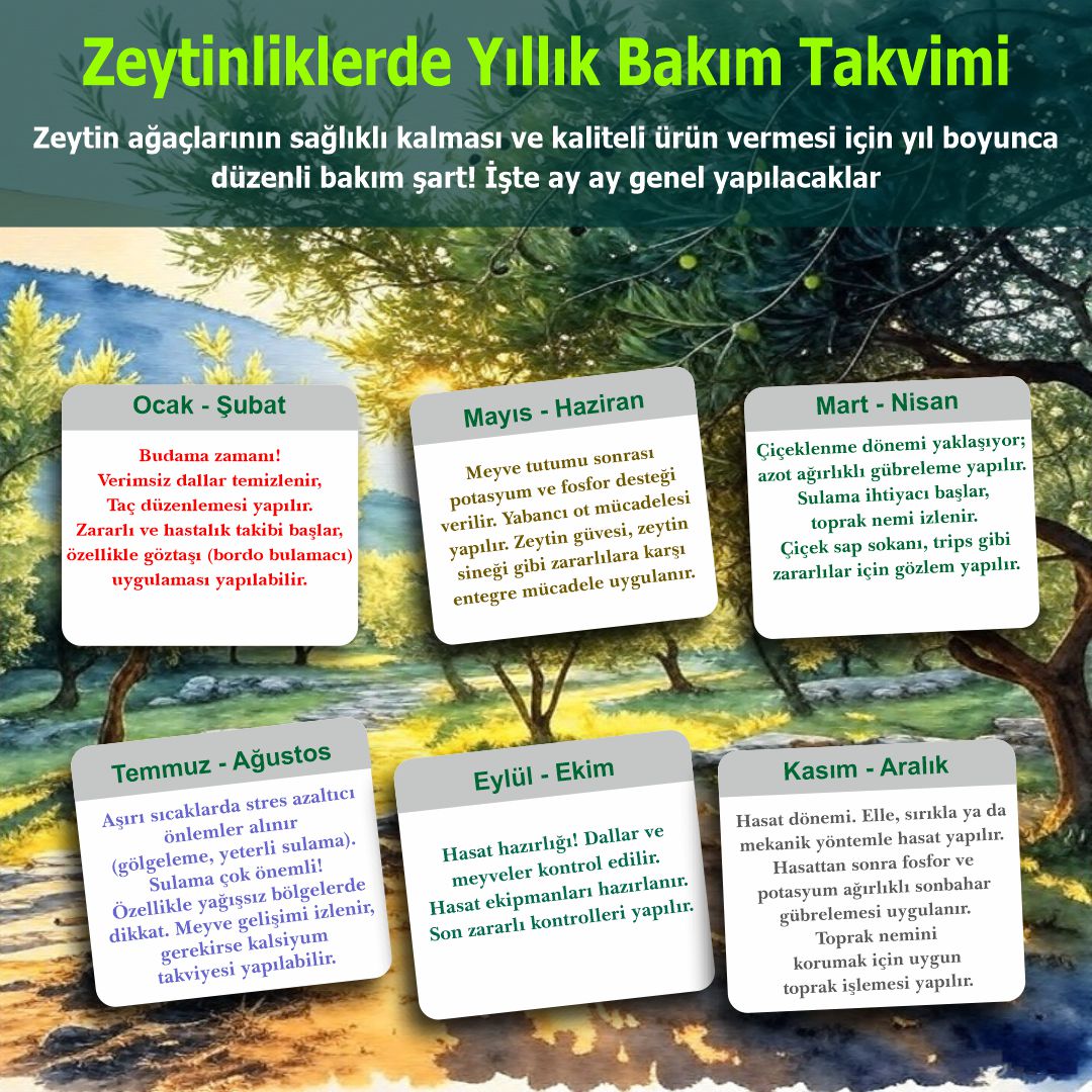 Daha fazla bilgiye sitemizin Tarım Kütüphanesi bölümünden ulaşabilirsiniz.
İlanlarınızı sitemizde ücretsiz yayınlayabilirsiniz...
ciftcibilir.com