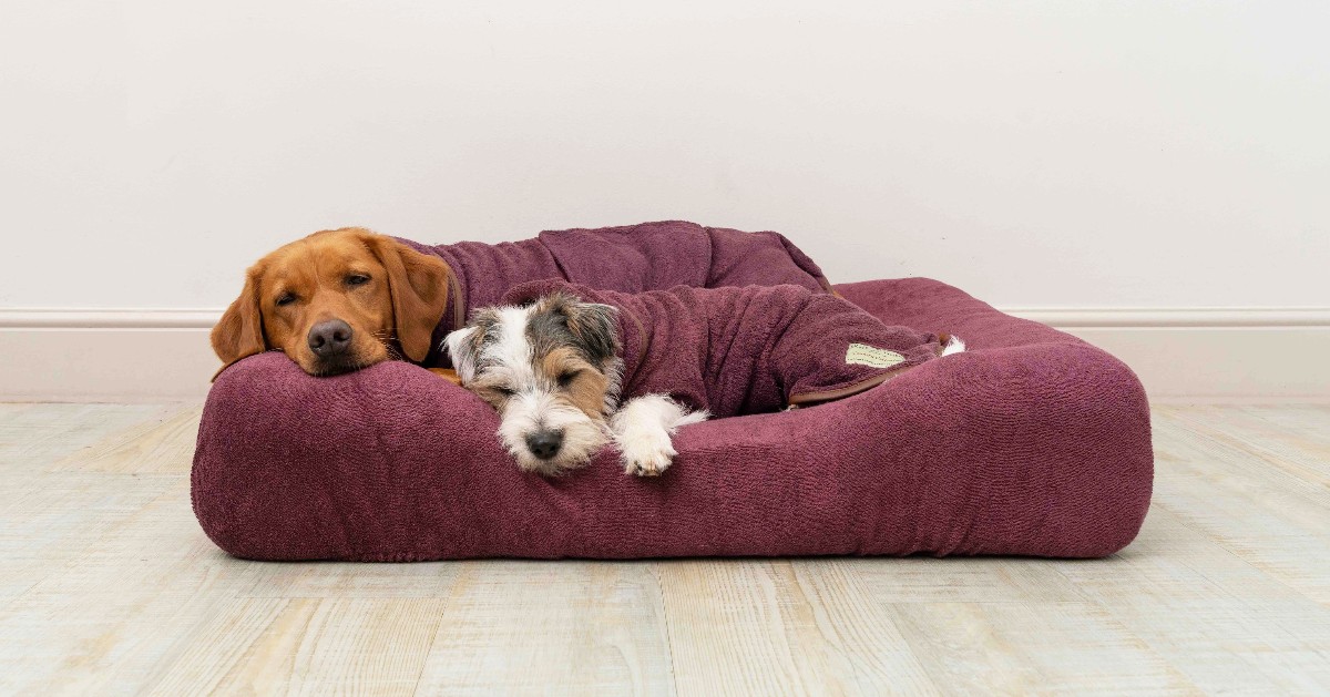 Universal Bed Covers: The quick and easy way to keep your dog’s bed clean. 🪄

Made from high quality natural cotton towelling, they are comfortable, practical and SO easy to wash!

#ruffandtumble