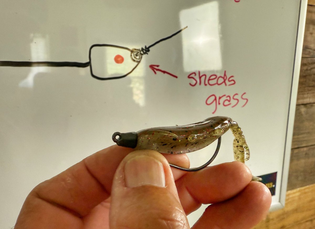 C.A. Richardson (@flatsclass) on Twitter photo You’ll want to watch this week’s YouTube video. I will share the best rig for fishing around floating grass! <a href="/Zmanfishing/">Zmanfishing</a> <a href="/hellsbayboats/">Hell's Bay Boatworks</a> <a href="/Raymarine/">Raymarine</a> You’ll want to watch this week’s YouTube video. I will share the best rig for fishing around floating grass! <a href="/Zmanfishing/">Zmanfishing</a> <a href="/hellsbayboats/">Hell's Bay Boatworks</a> <a href="/Raymarine/">Raymarine</a>