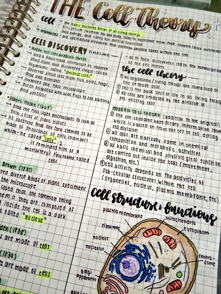 dkymshus's tweet image. 05.29.25 — studylog of the day!