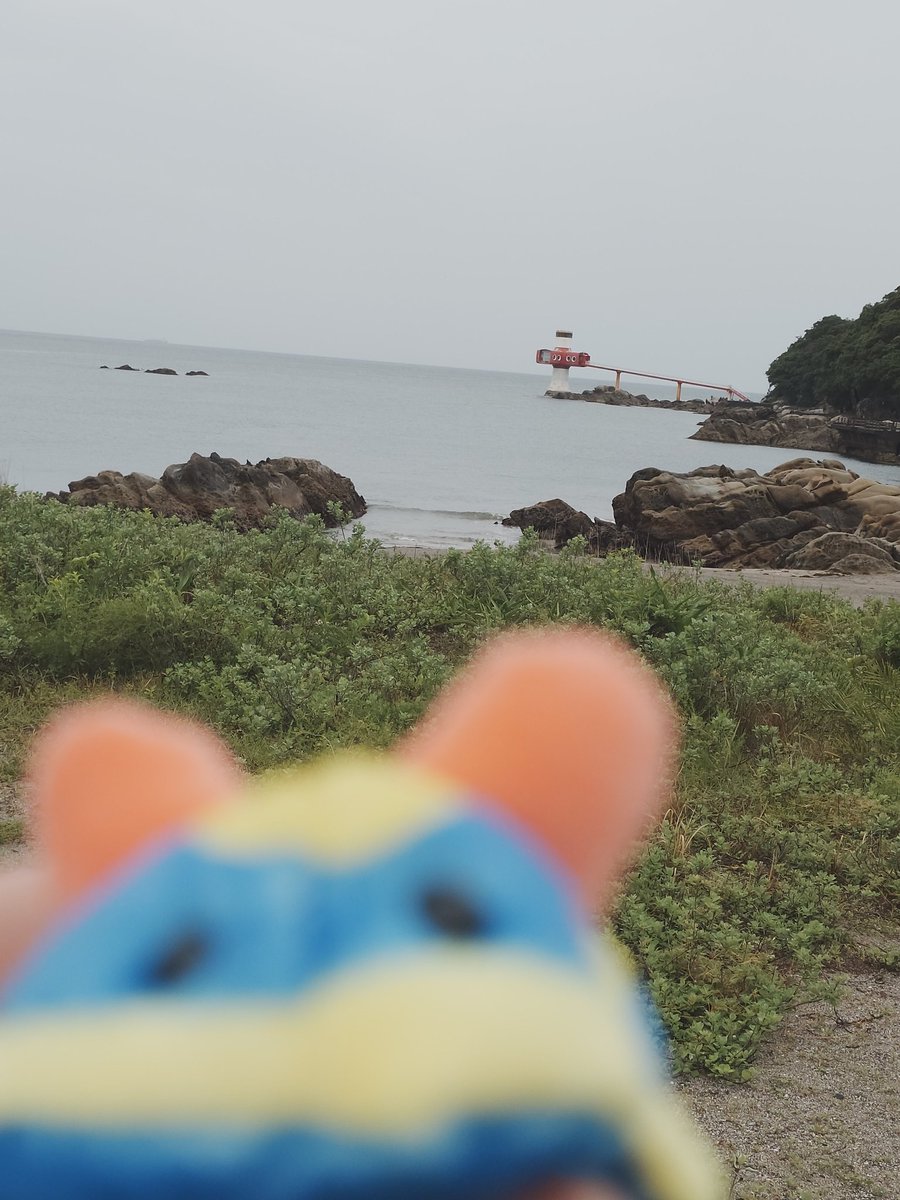 本日、『いつものところ十刻』は定休日でございます
今日は足摺海洋館まで行ってきたよー
いろいろ仕入れもできました🐟️✨️
明日からまたがんばろ
#いつものところ十刻
#高知市居酒屋