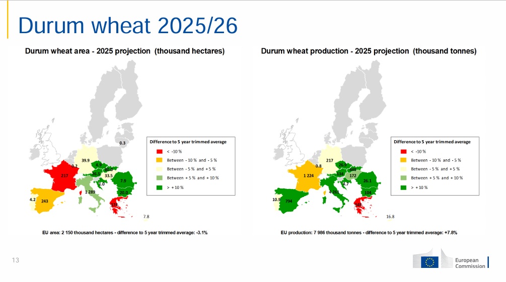 EU Commission 🇪🇺 28 May projection 👇

Total durum wheat production in Europe seen at ➡️ 8 million tons

BUT ⚠️ ...inexplicably they are still well under estimating a lot both surface and production in #Greece 🇬🇷 than the reality... 

#durumwheat #bledur #granoduro