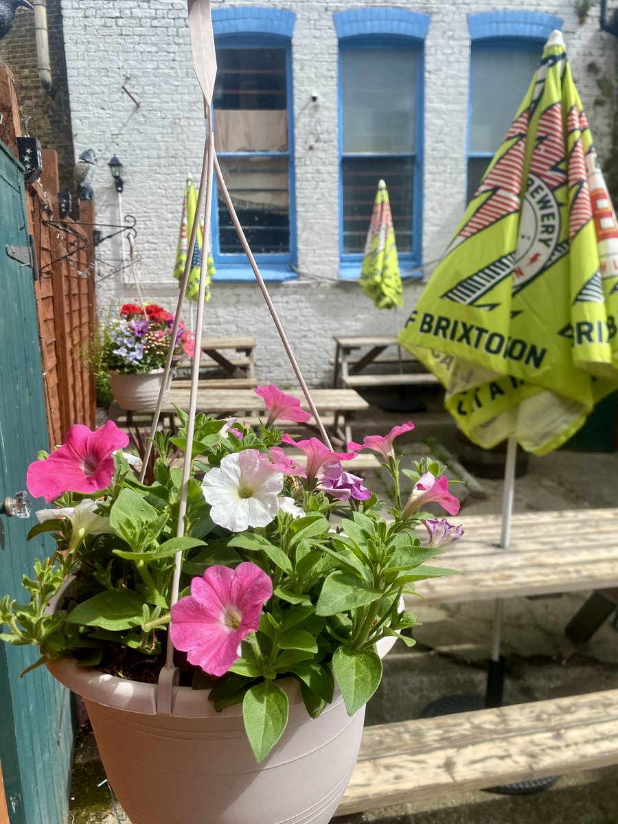 ☀️OUR GARDEN IS OPEN ☀️
The good weather looks like it’s here to stay! (We all hope) so please enjoy using our garden for a delightful meal or a blissful pint or cocktail (2 for £15 everyday after 3pm)