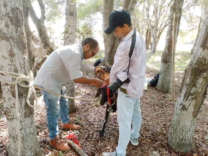 SoyDairon's tweet photo. Filmación del cortometraje de ficción La Afrenta. Entramos hoy en posproducción. Agradezco a los amigos artistas, profesionales y colaboradores que me han acompañado en esta aventura que no termina. #Guantánamo #ISAHolguín #Famca
📸 Rudens Local Guerra https://t.co/PPHgBNi4Ty