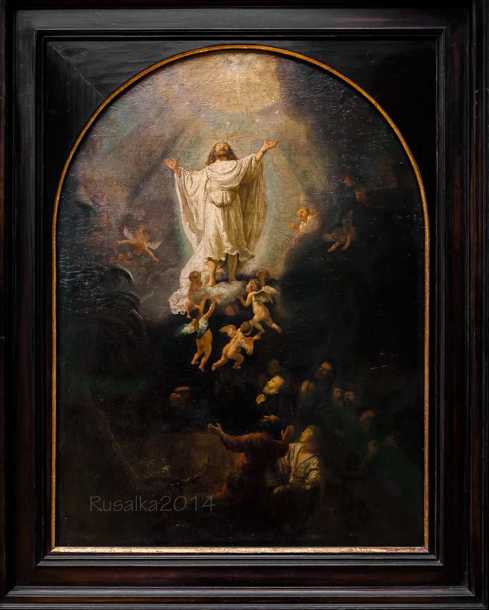 MaaikeDx 🖌 tweet media