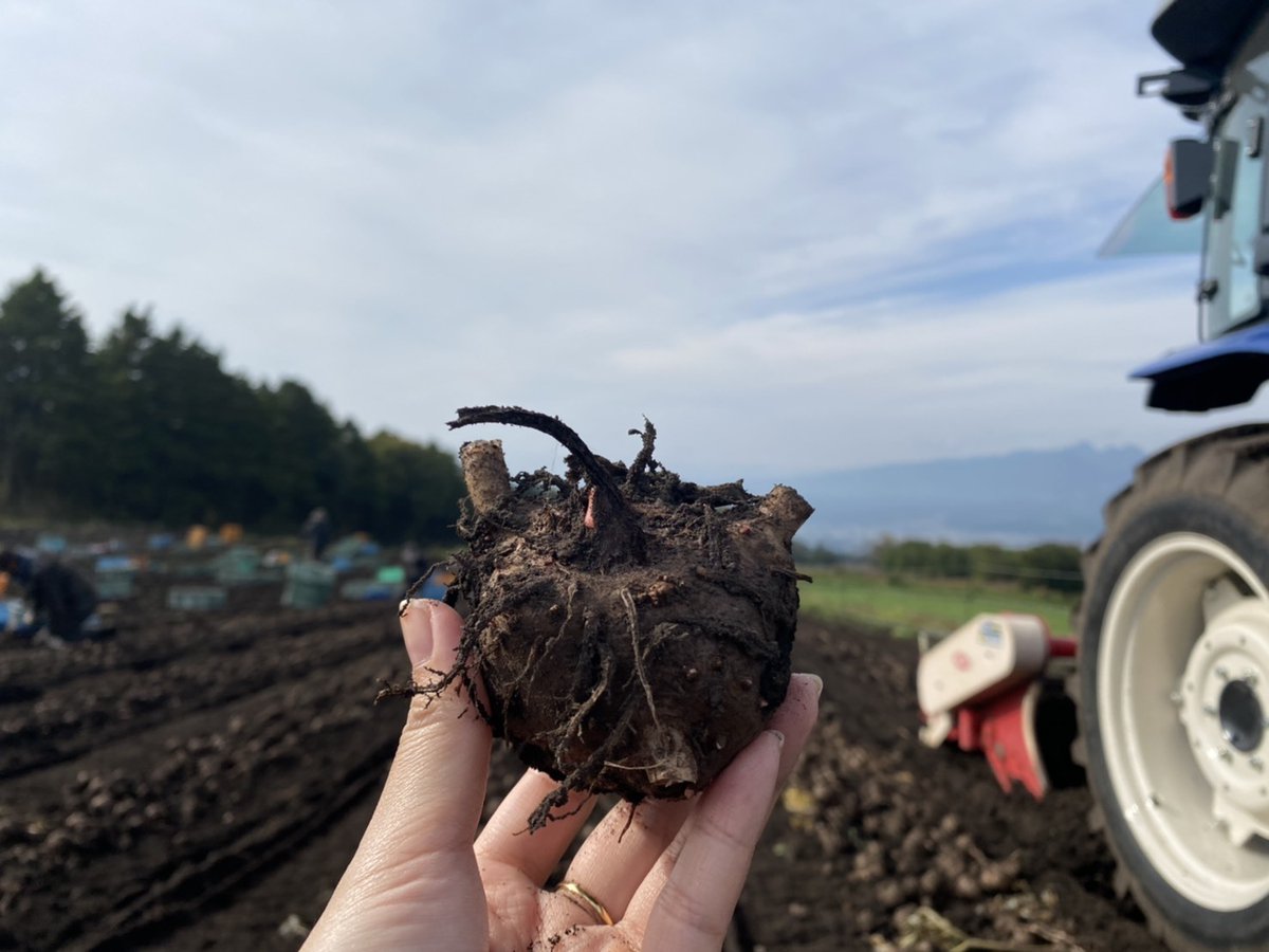 ＼May 29th is Konnyaku Day!／

Did you know our models are made from konnyaku-based material?

✅REALISTIC SURGICAL TRAINING 
✅IMPROVED PATIENT OUTCOMES
✅REDUCED PORCINE MODELS
✅REDUCED PLASTIC MODELS
✅SIMPLER DEVICE EVALUATION

 Feel the difference with <a href="/kotobuki_en/">KOTOBUKI Medical Inc.</a>