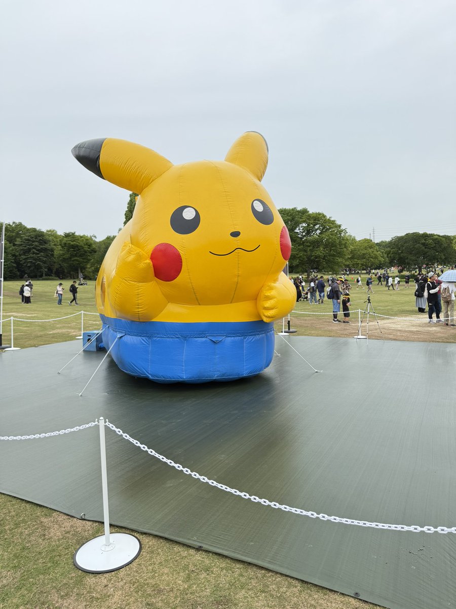 カズミページ これを見た人は朝方に撮った写真を貼る