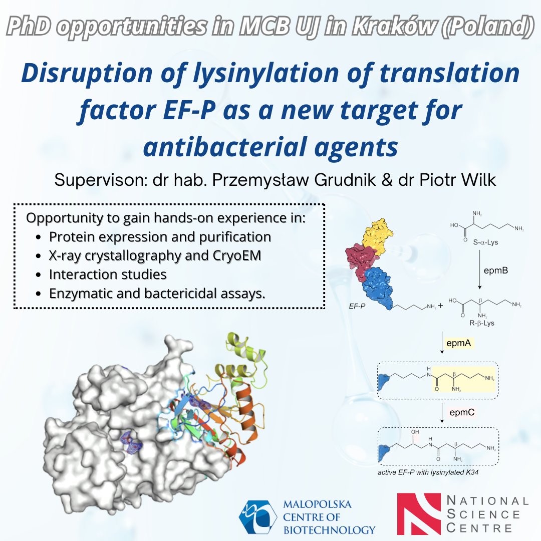 🔬 Fully funded PhD in #StructuralBiology at <a href="/MCB_UJ/">Malopolska Centre of Biotechnology UJ</a>   (Kraków, PL)
Join our team at <a href="/JagiellonskiUni/">Uniwersytet Jagielloński</a>  to develop novel #antibiotics targeting EF-P activation in bacteria. 
🧪 Apply now!
More info: shorturl.at/9hiJF

#Biochemistry  #ScienceJobs #PhDposition #AcademicTwitter
