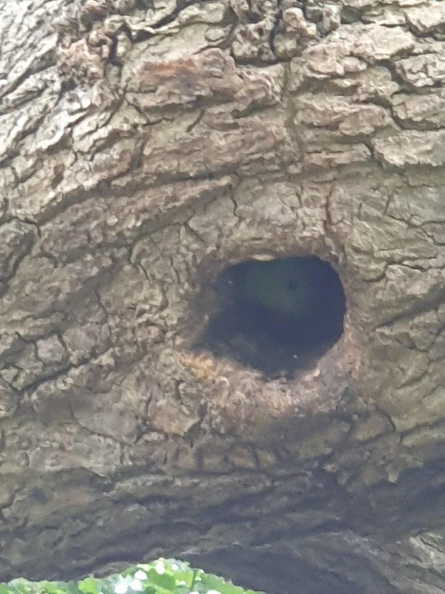 Numinousviews's tweet image. You never know who might be watching.