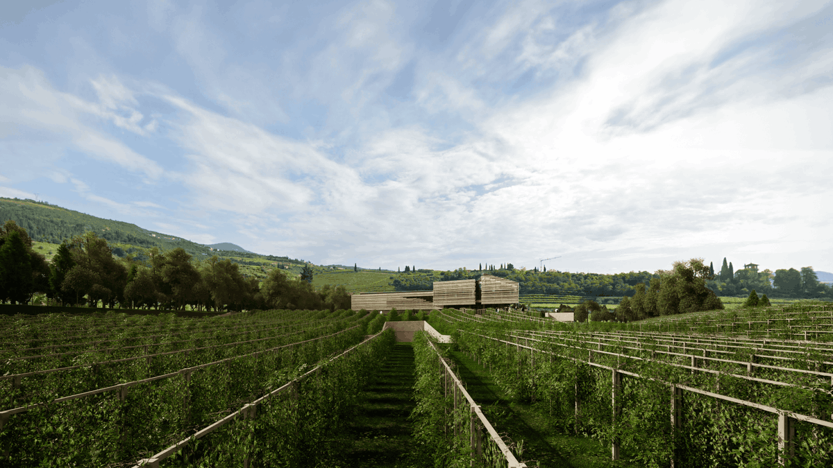 Masi Wines tweet media