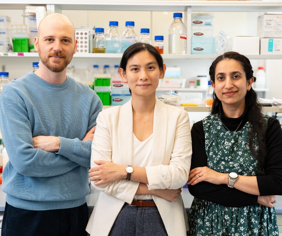 Forum Akademickie tweet media