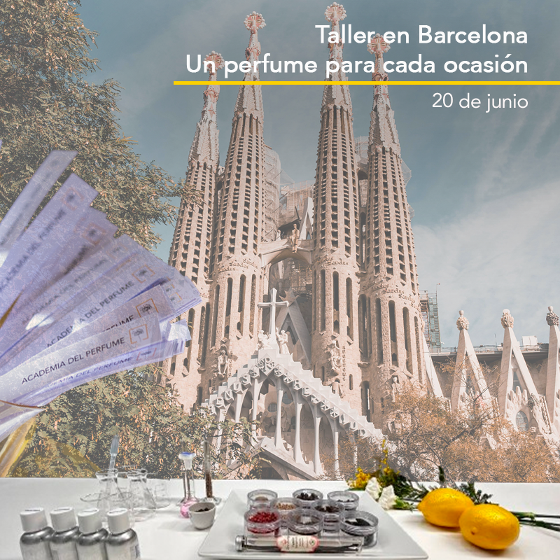 🧴✨ Todavía estás a tiempo de apuntarte al taller presencial “Un perfume para cada ocasión” en Barcelona 📍 Viernes 20 de junio, 12h. Cata guiada, tips y curiosidades con perfumes premiados.

👉 Inscríbete aquí: academiadelperfume.com/talleres-curso…

#TallerdePerfumes #Barcelona #Perfume