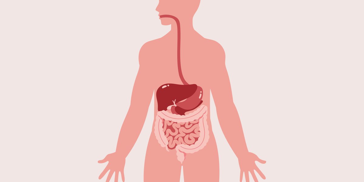 Cambridge Department of Medicine (@medcambridge) on Twitter photo From new Crohn’s treatments to immune system insights, these 5 new <a href="/Cambridge_Uni/">Cambridge University</a> studies reveal how early therapies and gut bacteria can improve patient outcomes and support lifelong health.
🔍 Read more: buff.ly/ATFfan6
#WDHD2025
#YourDigestiveHealth From new Crohn’s treatments to immune system insights, these 5 new <a href="/Cambridge_Uni/">Cambridge University</a> studies reveal how early therapies and gut bacteria can improve patient outcomes and support lifelong health.
🔍 Read more: buff.ly/ATFfan6
#WDHD2025
#YourDigestiveHealth