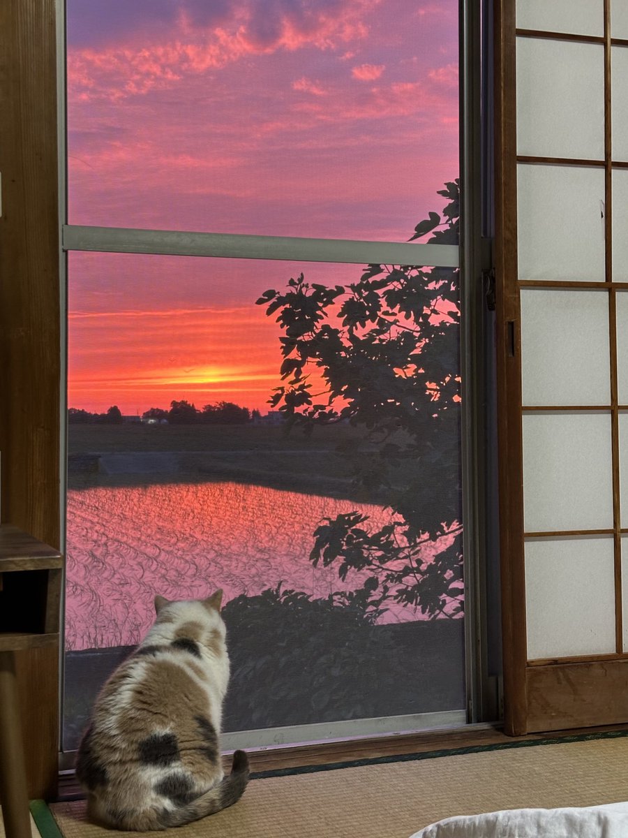 sauntm's tweet image. 今日で移住して３年が経ちました。