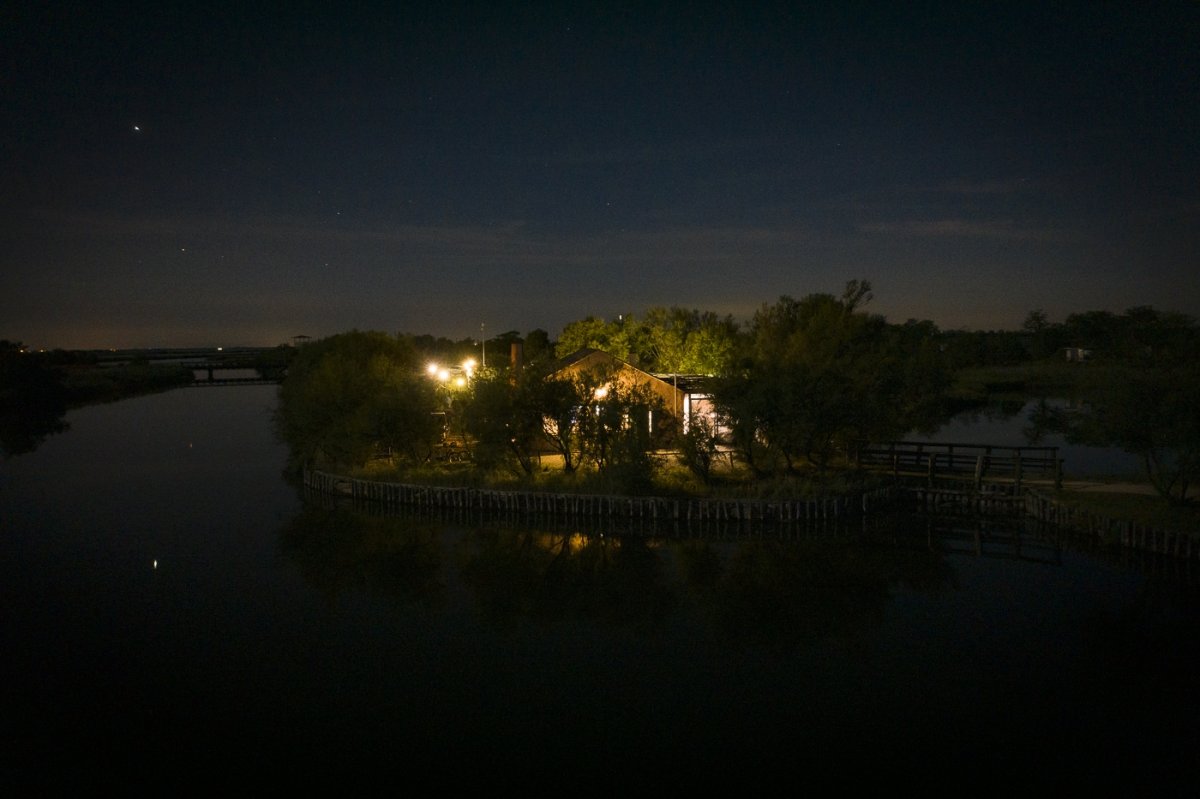 🌕 𝐂𝐚𝐧𝐨𝐚 𝐬𝐨𝐭𝐭𝐨 𝐥𝐚 𝐥𝐮𝐧𝐚 𝐩𝐢𝐞𝐧𝐚: 𝐯𝐢𝐯𝐢 𝐥𝐚 𝐦𝐚𝐠𝐢𝐚 𝐝𝐞𝐥𝐥𝐞 𝐕𝐚𝐥𝐥𝐢 𝐝𝐢 𝐂𝐨𝐦𝐚𝐜𝐜𝐡𝐢𝐨 𝐝𝐢 𝐧𝐨𝐭𝐭𝐞 Un’esperienza che toglie il fiato, nel silenzio della natura, guidati solo dalla luna. 
📷 Prenota subito  👉 t.ly/-siSX