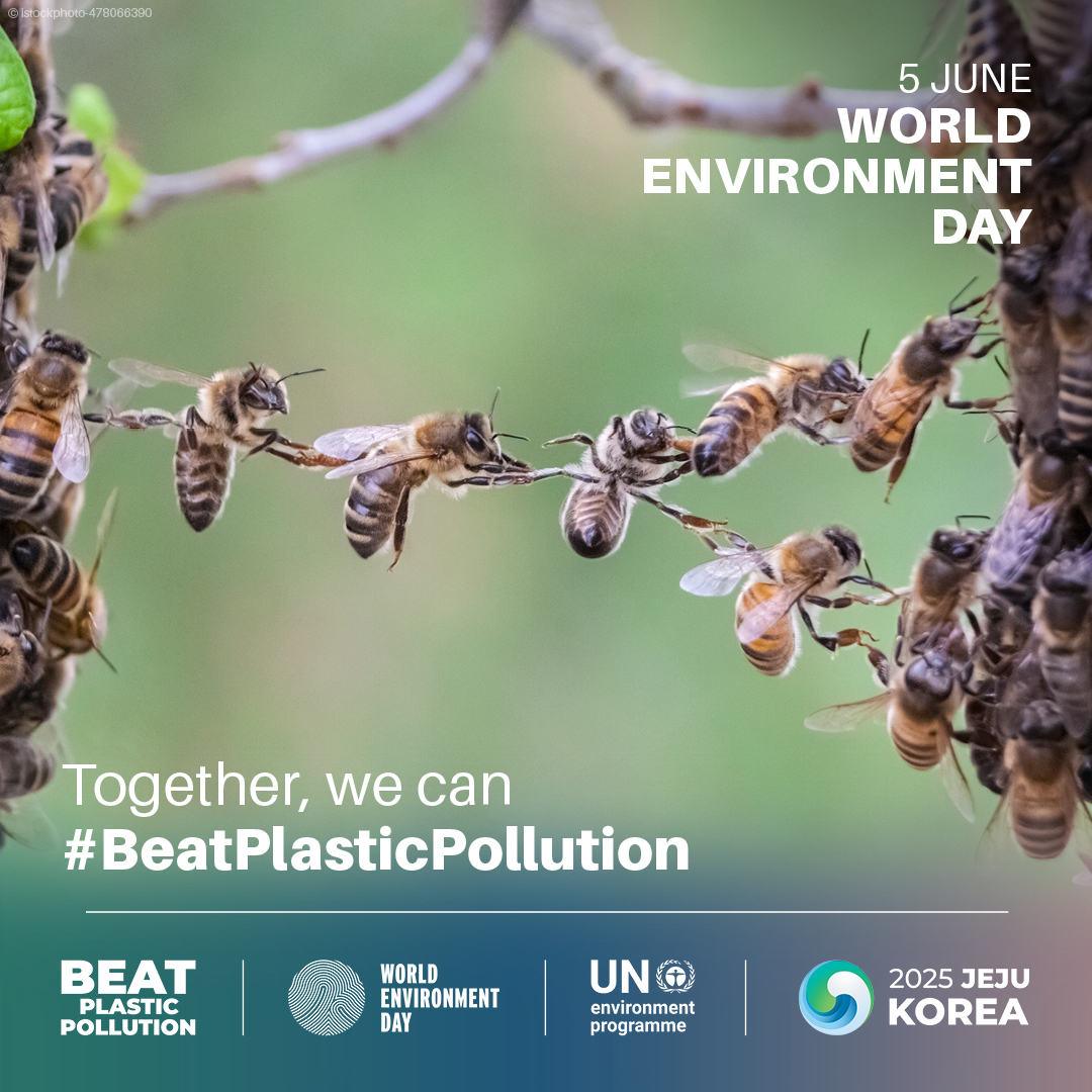 Business Wales (@_businesswales) on Twitter photo June 5 is #WorldEnvironmentDay, and this year is all about collective action to #BeatPlasticPollution.
Join us to build a healthier, cleaner future for all!
businesswales.gov.wales/news-and-blog/… <a href="/UNEP/">UN Environment Programme</a> June 5 is #WorldEnvironmentDay, and this year is all about collective action to #BeatPlasticPollution.
Join us to build a healthier, cleaner future for all!
businesswales.gov.wales/news-and-blog/… <a href="/UNEP/">UN Environment Programme</a>
