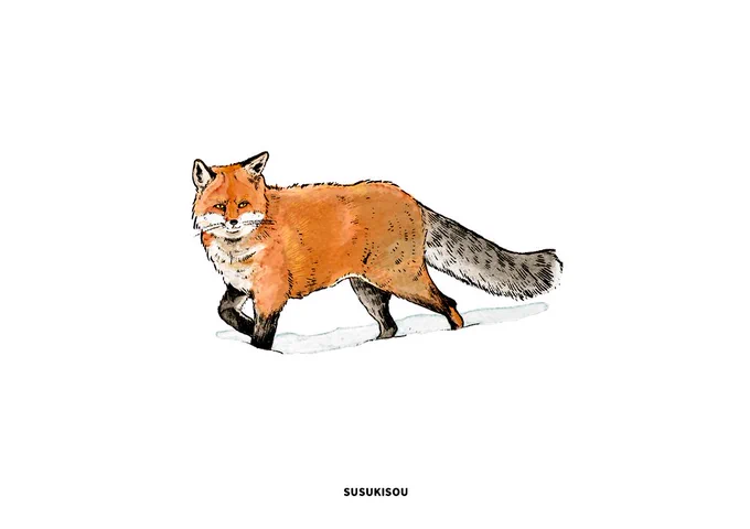 きつね #イラスト #コミティア