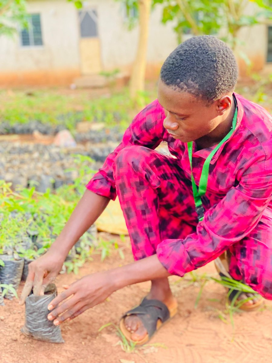gliforumng's tweet photo. @Samsonprolific Yes ooo....thank you sir for changing the narrative; and evidence dey 😂.

Aside from the green houses, we are also empowered to create a sustainable working &amp; living environments through the planting of trees gradually growing to achieve #NetZeroCarbon operations @sFarmLab https://t.co/7iHB8Fw7Vh